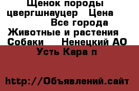 Щенок породы  цвергшнауцер › Цена ­ 30 000 - Все города Животные и растения » Собаки   . Ненецкий АО,Усть-Кара п.